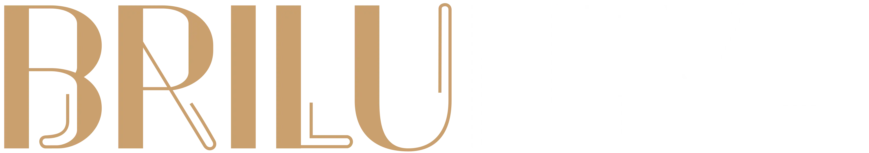 Brilunexa Logo